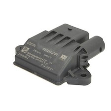 Steuergerät, Glühzeit BORG WARNER (BERU) GSE114