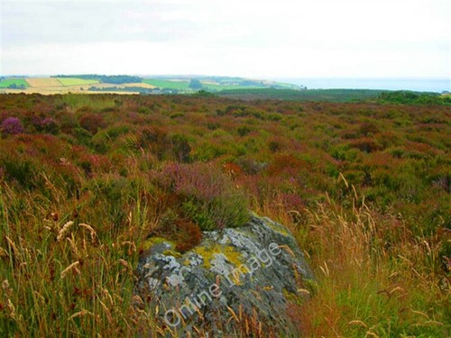 Foto 6x4 moorlandschaft - foto,