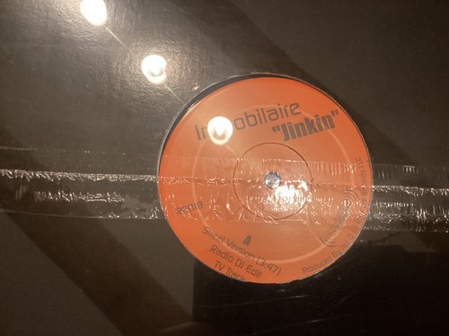 Imobilaire jinkin vinyl - -,