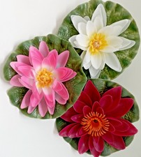 Gardena Seerose schwimmend