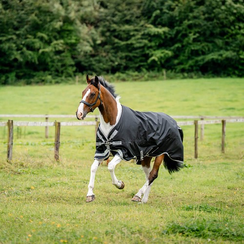 Horseware amigo 1200d turnout - amigo,