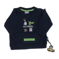 Sigikid, Sweatshirt, Größe: 68, Blau/Grün/Grau, Print, Sweat, Jungen -DTd