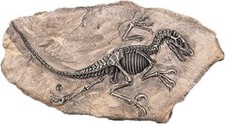 Resin Dinosaur Fossil Statue