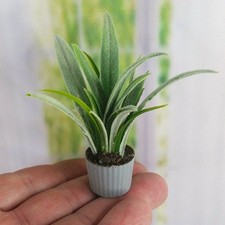 Puppenhaus Miniatur-Pflanze im