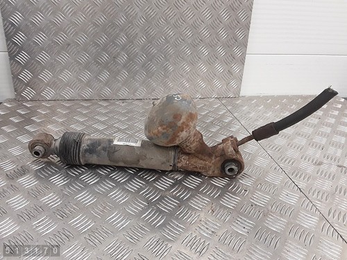 2010 citroen stossdampfer - 2010,