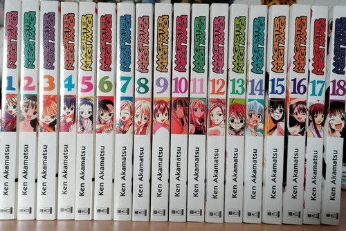 Magister negi magi - magister,