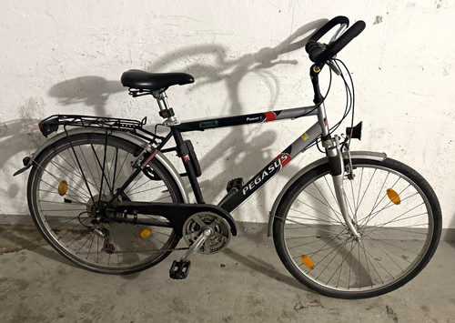 Pegasus power trekkingrad - power, s