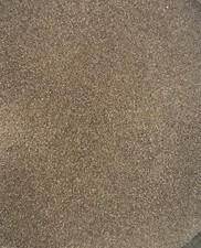 Sanders Artemia Eier 15-425g Great Salt Lake, Premium Brine Shrimp,95 %+Schlupf