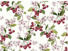 Panama Kirschblüte, Kirschen