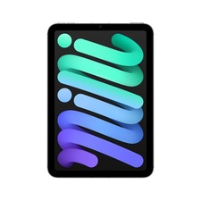 Apple iPad mini 2024 WiFi + 5G 128 GB Space Grau MXPT3NF/A + AppleCare