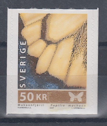 Schweden 2007 schmetterling - schweden,