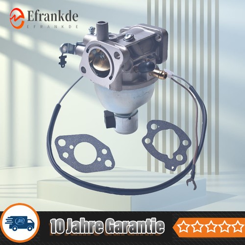 Vergaser kit für briggs - vergaser,