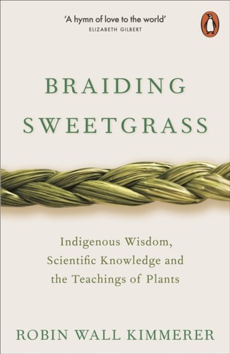 Braiding sweetgrass robin - by,