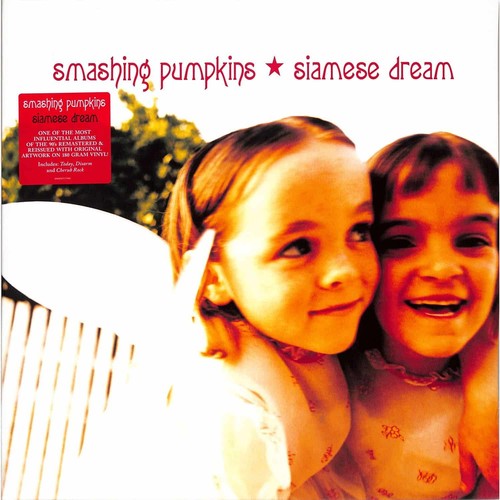 The smashing pumpkins - smashing,