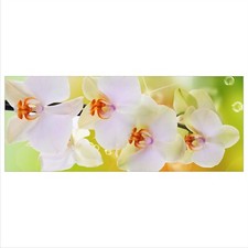 Glasbild 125x50 XL Orchidee