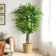 Kunstpflanze Ficusbaum 150cm