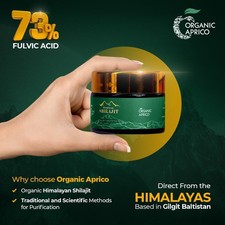 Himalaya Shilajit | Reines