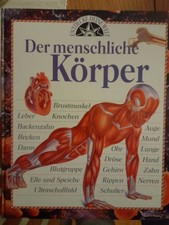 Anatomie Menschlicher Körper Sachbuch Hardcover Deutsch Organe Systeme Biologie