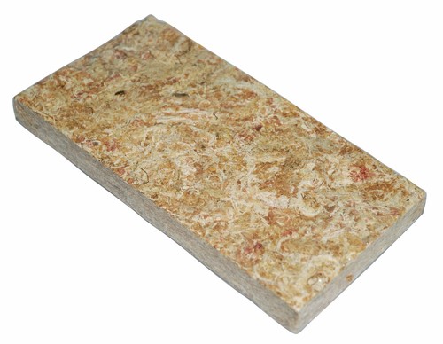 Sphagnum moos terrarium - sphagnum,