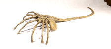 FACEHUGGER AUS ALIEN 1/1