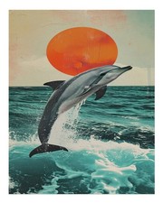 Delfin Ozean Sonnenuntergang