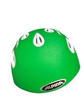 Alpina Ski Snowboard Helm