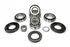 BMW X3 E83 F25 X5 E70 Hinten Differential 188L Reparatur Lagersatz