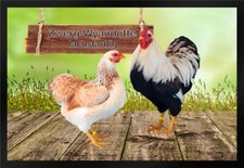 Fußmatte Schmutzfangmatte Hühner Zwerg Wyandotte lachsfarbig F1258	