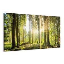 Artgeist Natur Wandbild Groß
