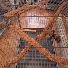 Grosser KÄFIG für Nagetiere/Degus, Hamster, Chinchillas e.t.c.