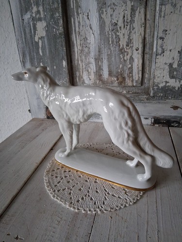 Russischer windhund hund - russischer, zeh