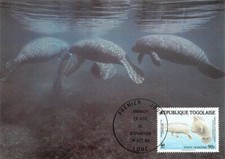 765378) Togo Maximumkarten Nr.1763-1766 WWF Manati 