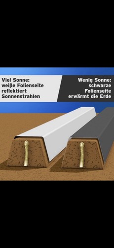 Spargelfolie