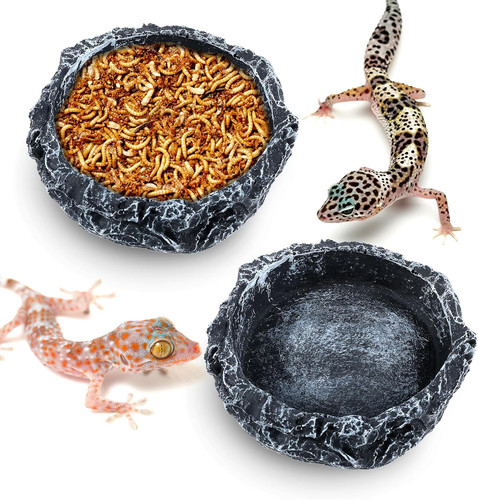 2pcs wasserschale terrarium - 2pcs,