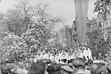 Altes Foto-Negativ, junge