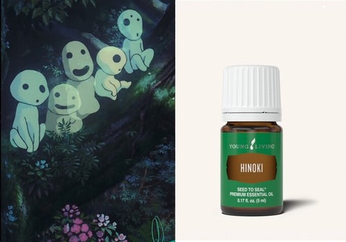 Hinoki zypresse young living - zypresse,