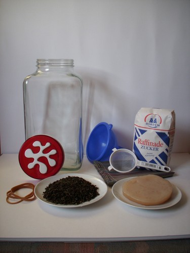 Komplettset kombucha teepilz - kombucha,