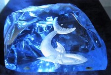 Aquarium Briefbeschwerer,Hai Fische,signiert:?ema Gravyr1987,ca:H/B 8/13cm,1088g