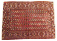 TOP! Antik! Bukhara 380x245 Buchara Tekke Ersari Rug Carpet Tapis Orientteppich