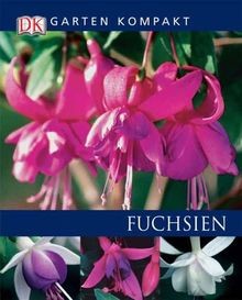 Fuchsien von rosenfeld - fuchsien,
