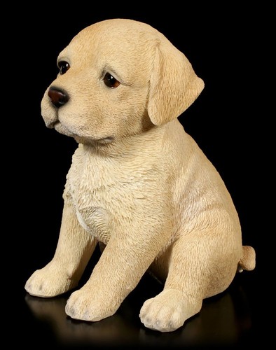 Hunde welpen figur labrador - hunde,