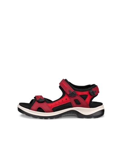 Ecco offroad yucatan brick - ecco,