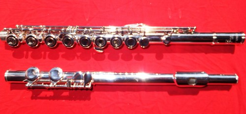 Pearl 771 pre 765 - pearl,