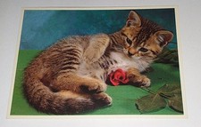 Alte 80er ? Jahre Katze