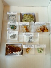 Konvolut, 10 MM Mineralien