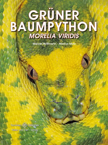 Grüner baumpython morelia - baumpython,