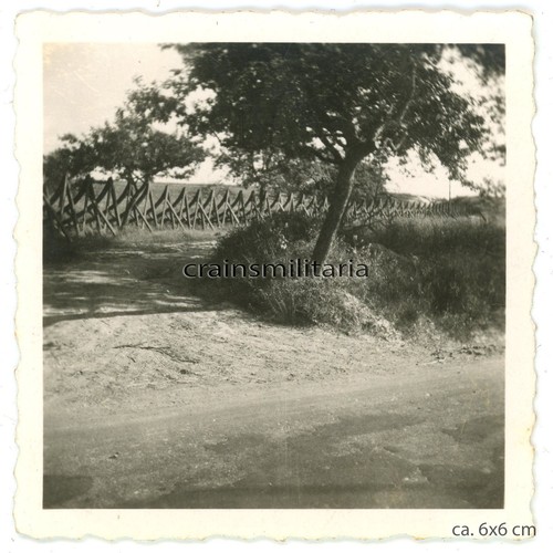 Orig foto westwall - foto,