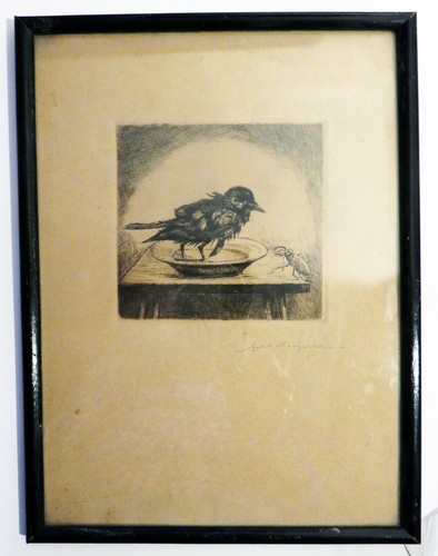 Zeichnung vogel und käfer - zeichnung,