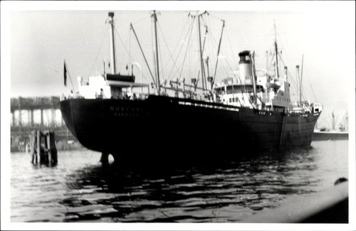 Foto frachtschiff dampfer - frachtschiff,,