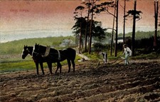 Ak Landwirtschaft